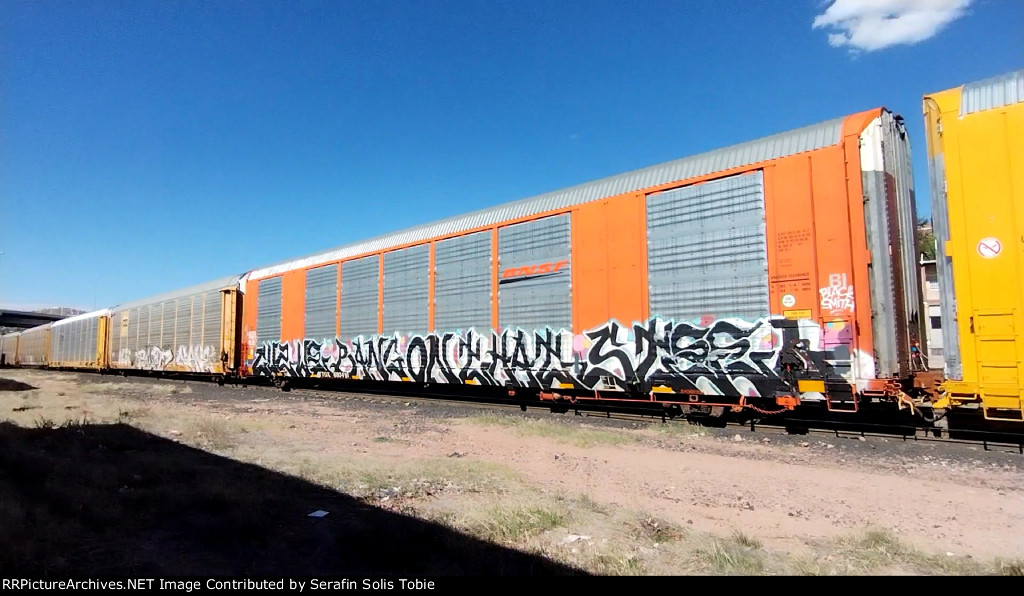 BNSF 27207 TTGX 693491 Con Grafiti 